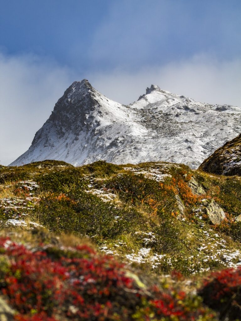 découvrez alpine event, votre partenaire idéal pour des événements inoubliables en pleine nature. que ce soit pour des séminaires, des team-buildings ou des cérémonies, nous vous offrons une expérience unique dans des décors alpins spectaculaires. plongez dans l'aventure et laissez-nous créer des souvenirs mémorables pour vous et vos invités.